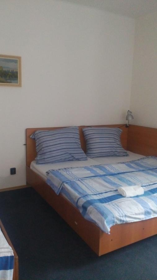 Hotel Britz Velké Hamry المظهر الخارجي الصورة
